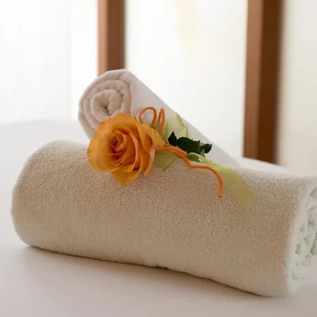 Luitpoldpark-hotel 4*