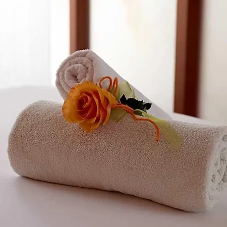 Hotel Luitpoldpark-hotel 4*